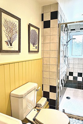 Apartment 1, ground floor, shower room